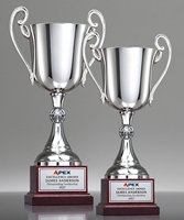 Picture of Silver Cup on Cherry Base