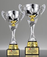 Picture of Apex Cup Trophy