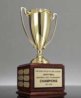 Picture of Perpetual Achievement Cup