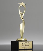 Picture of Reach for the Stars Achievement Award