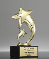 Picture of Star Fusion Award