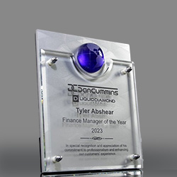 Global Ambassador Award