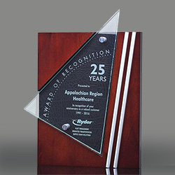 Premium Professionalism Award