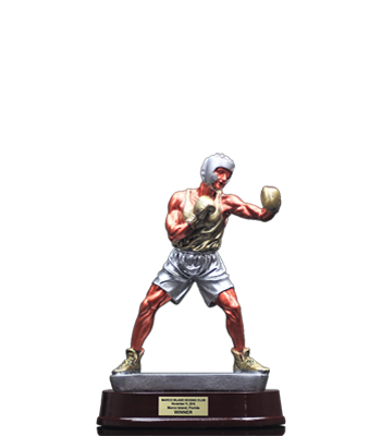 Boxing Trophies